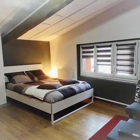 Appartement Duplex Avec Terrasse Lempdes
